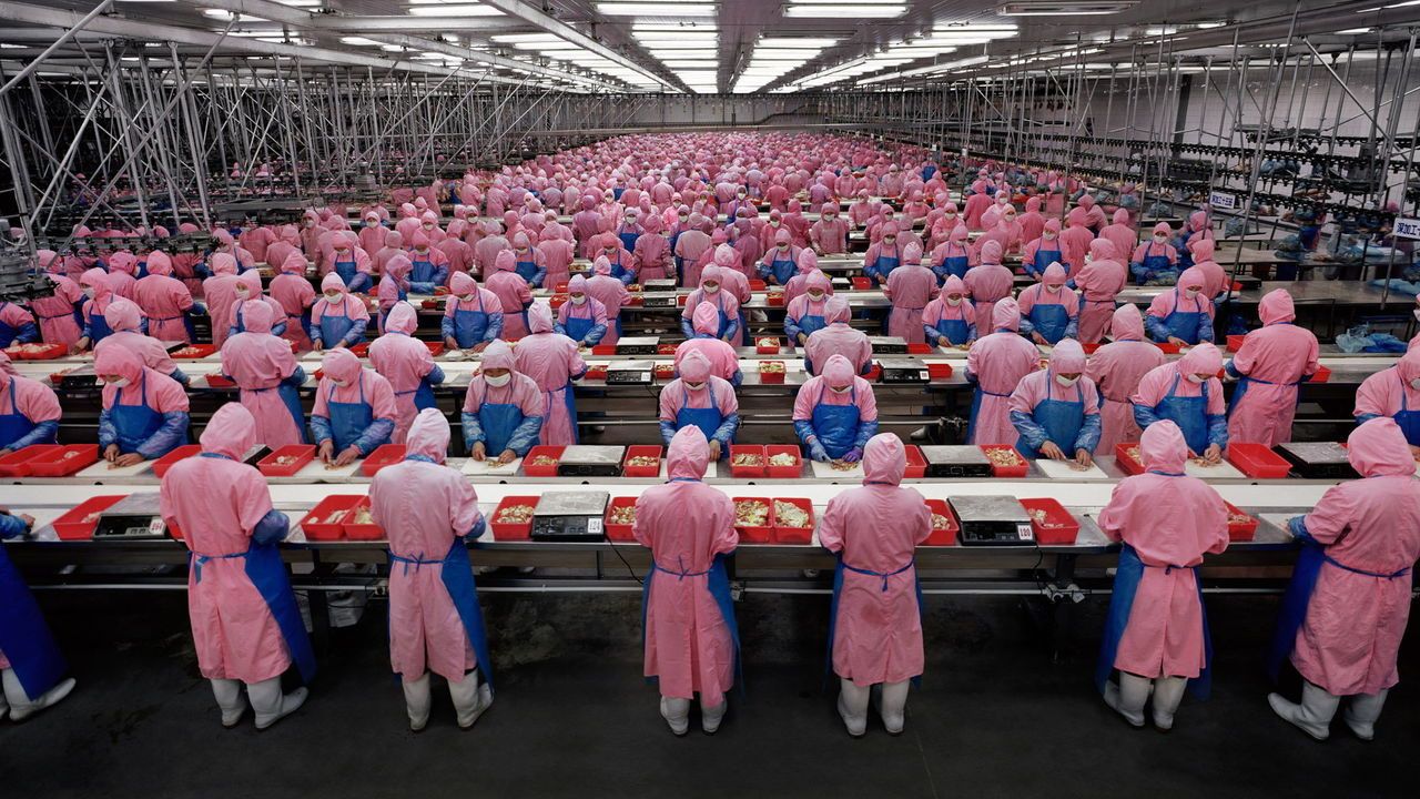 Workers on an assembly line in a chicken processing plant, in Dehui City, Jilin Province, China. 